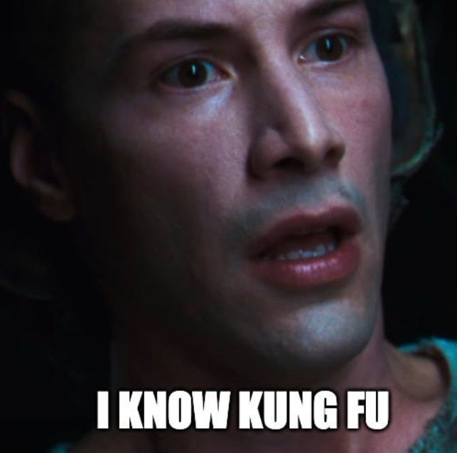 Stillshot of Keanu Reeves in the Matrix, with text overlay: "I know kung fu"